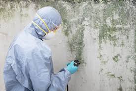 Professional Mold Removal & Remediation in Groveport, OH